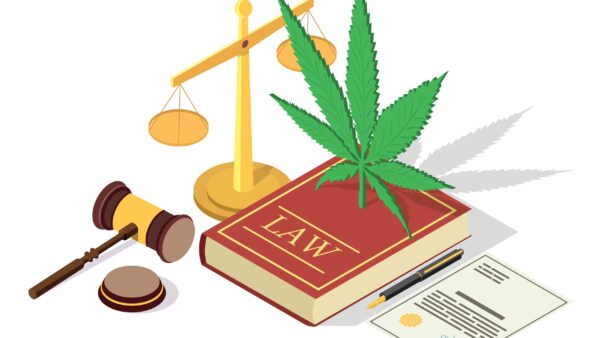 Laughlin, Street Introduce Bipartisan Approach to Marijuana Legalization in PA