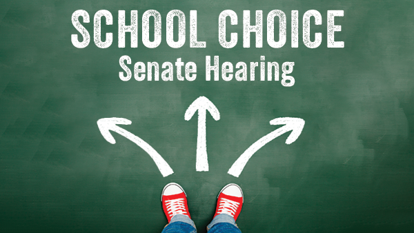 Student Opportunities for Success Examined by Senate Education Committee