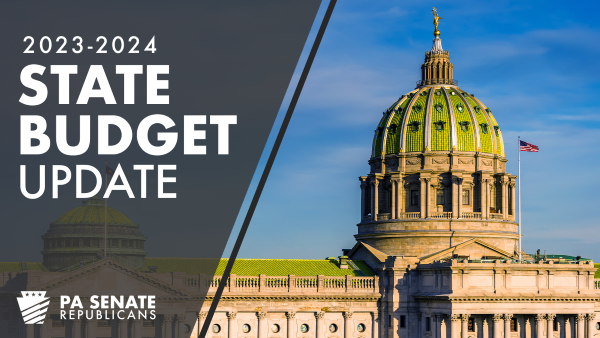 Senate Approves Critical Budget Implementation Bills