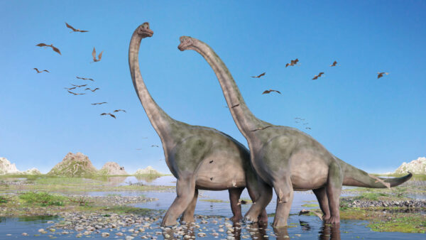 Culver Announces Local Business to Host Dinosaur Display at State Capitol