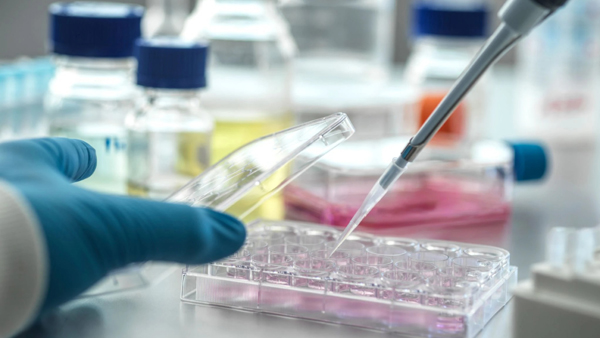 A scientist carefully dispenses liquid into a multi-well plate in a laboratory setting.