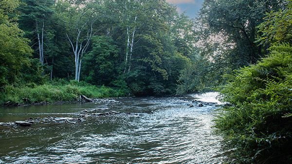Large, flowing stream with trees and greenery on either side