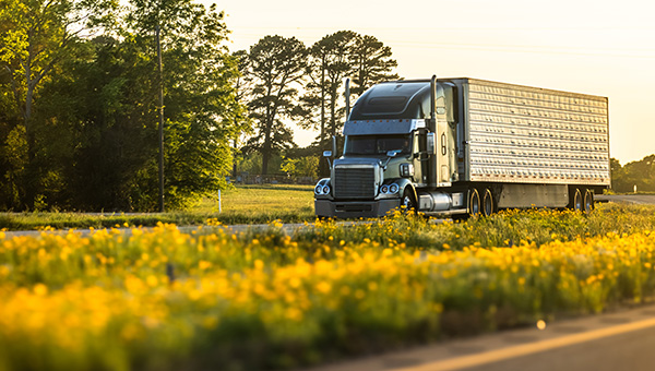 Semi truck hauling refrigerated cargo trailer on interstate highway