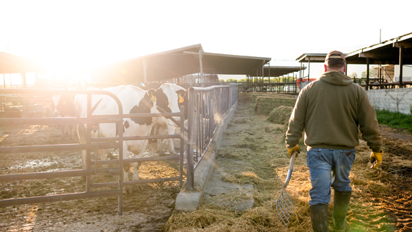 Bartolotta Bill to Protect Pennsylvania Farmers Advances from Senate Committee